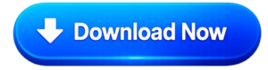 download button