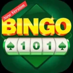 Bingo 101 1 1