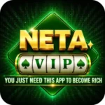 neta vip App 1