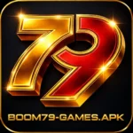 boom 79 3 3